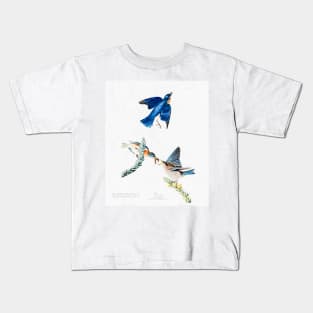 John Audubon Reimagined - Bluebirds Kids T-Shirt